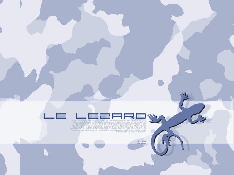 Wallpapers Digital Art Abstract Lezard 2