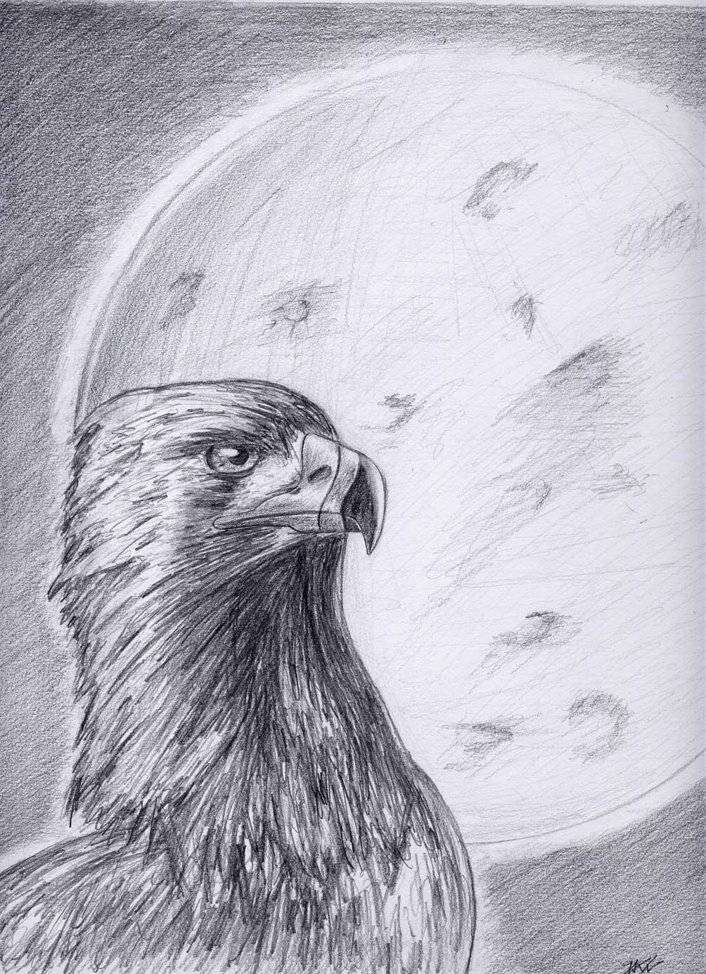 Fonds d'cran Art - Crayon Animaux - Oiseaux - Rapaces Aigle au clair de lune