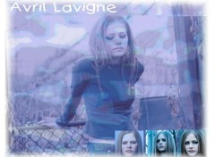 Wallpapers Music avril in blu