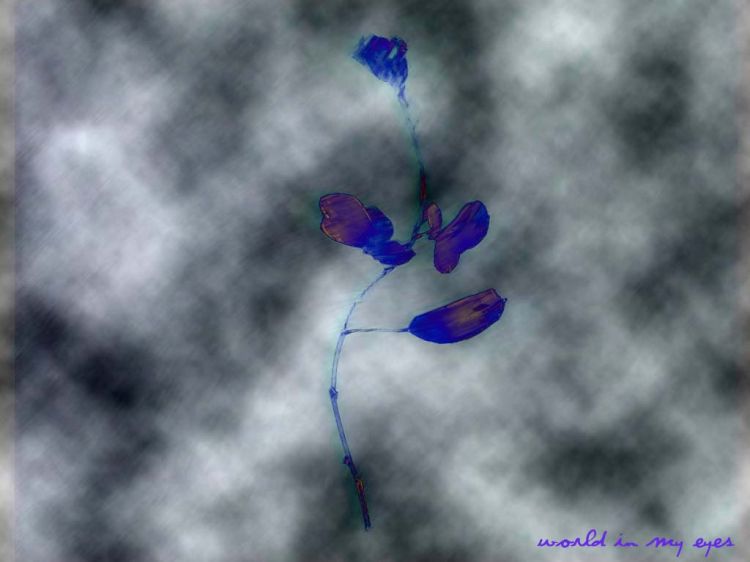 Wallpapers Digital Art Abstract blue rose