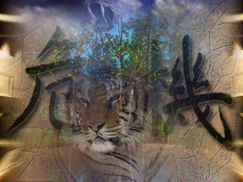 Wallpapers Digital Art Abstract Benghal Tiger