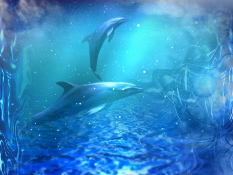 Wallpapers Digital Art Abstract Dolphins Part 2