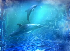 Wallpapers Digital Art Dolphins Part 2