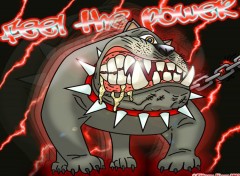 Fonds d'cran Art - Numrique Raging BullDog