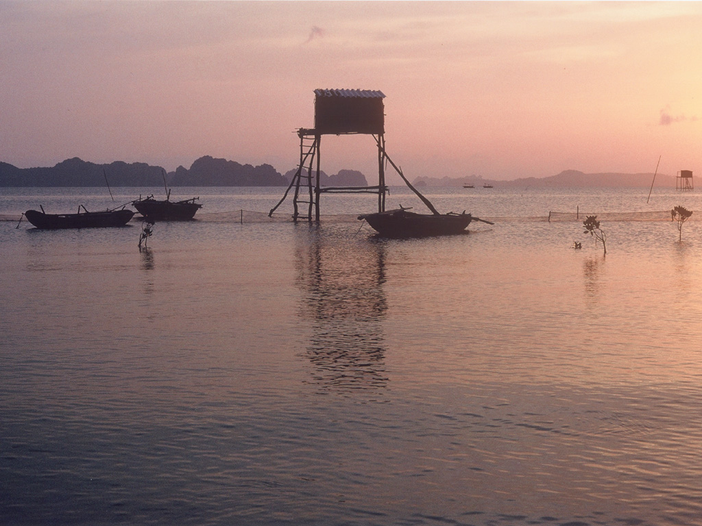 Fonds d'cran Nature Paysages Baie d'Halong