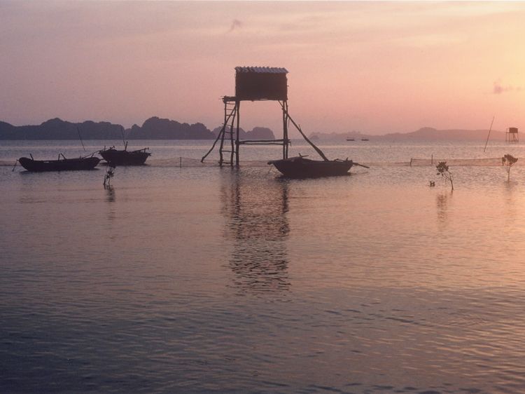 Fonds d'cran Nature Paysages Baie d'Halong