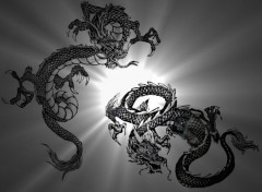 Wallpapers Fantasy and Science Fiction beaux dragons sur fond etoil