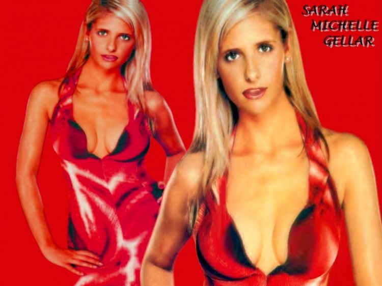 Wallpapers Celebrities Women Sarah Michelle Gellar Wallpaper N23676