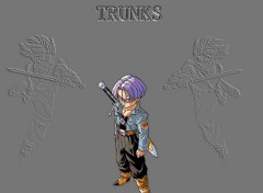 Fonds d'cran Manga TrunkS