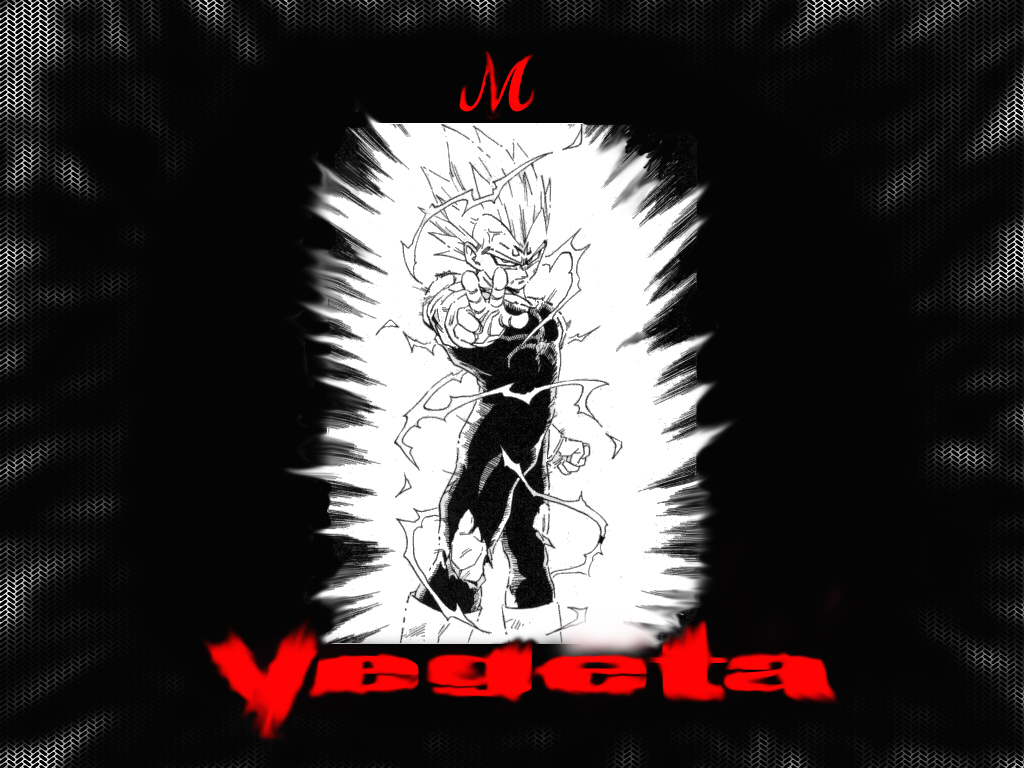 Wallpapers Manga Dragon Ball Z squ. vegeta