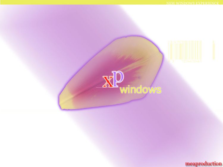 Fonds d'cran Informatique Windows XP XPNATURE