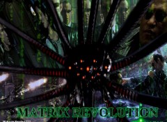 Fonds d'cran Cinma Matrix revolution 01
