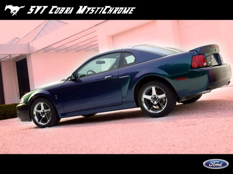 Wallpapers Cars Ford Mustang SVT Cobra MystiChrome