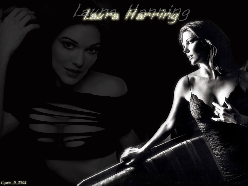 Wallpapers Celebrities Women Laura Harring Harring01