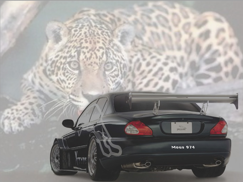 Wallpapers Cars Jaguar La Bte