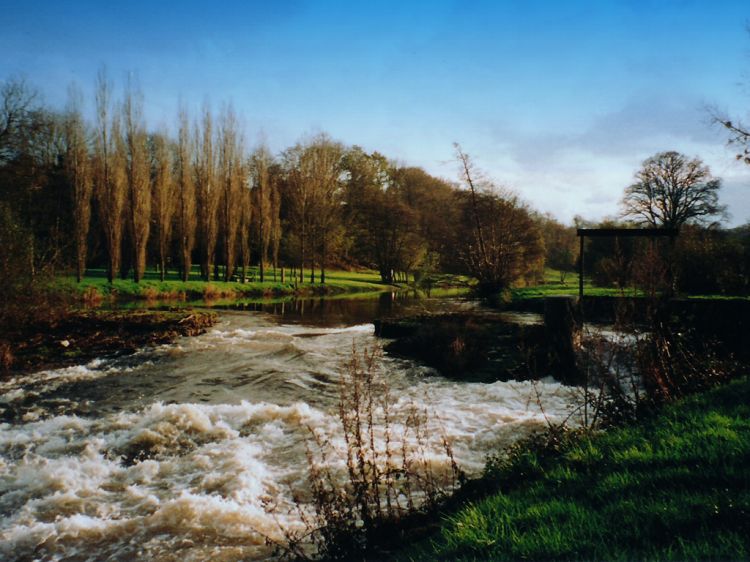 Fonds d'cran Nature Fleuves - Rivires - Torrents Au bord de la Vire