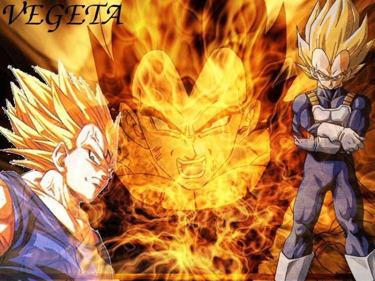 Fonds d'cran Manga Dragon Ball Z Vegeta