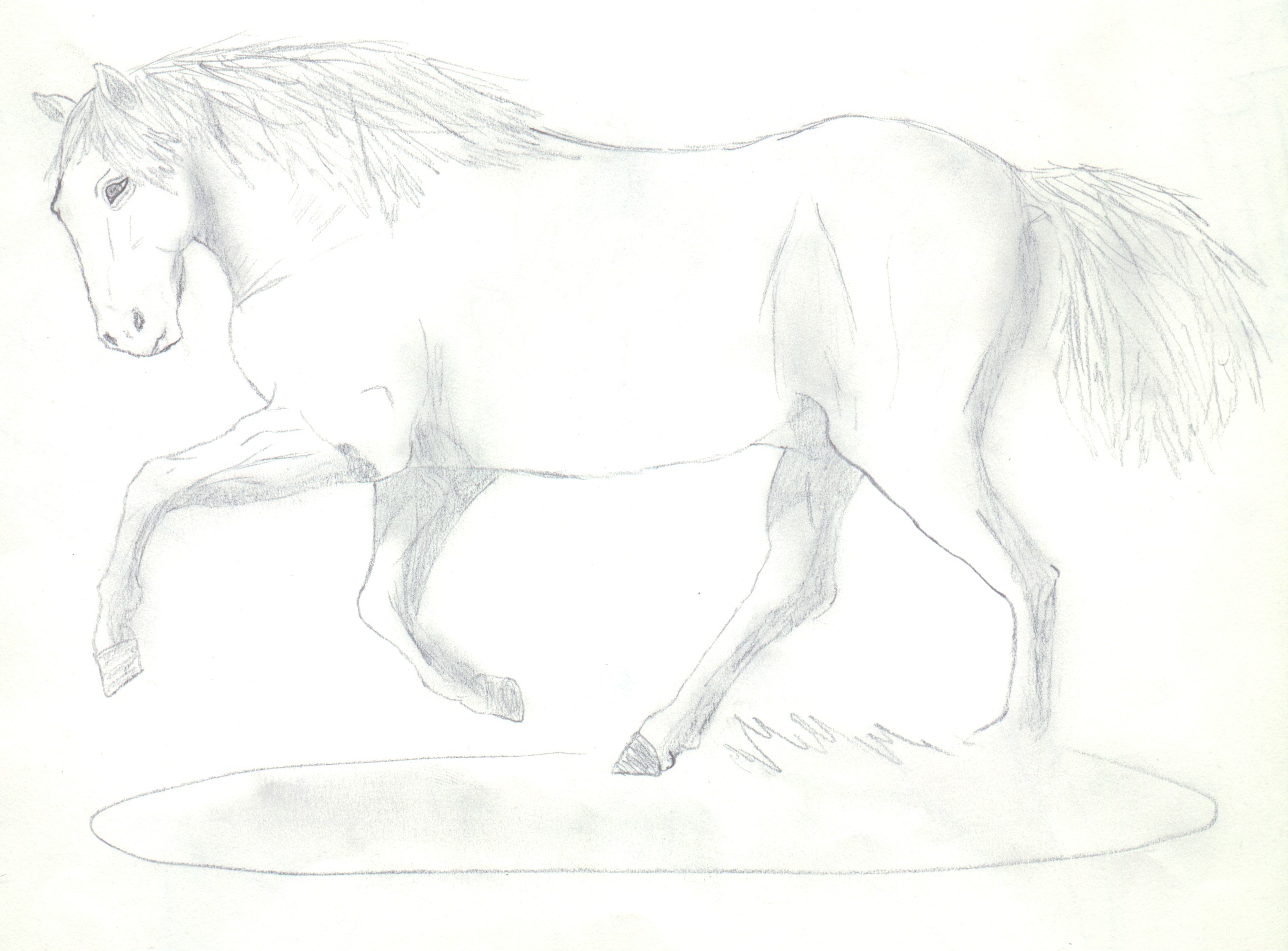 Wallpapers Art - Pencil Animals - Horses Sous les lumires du spectacle