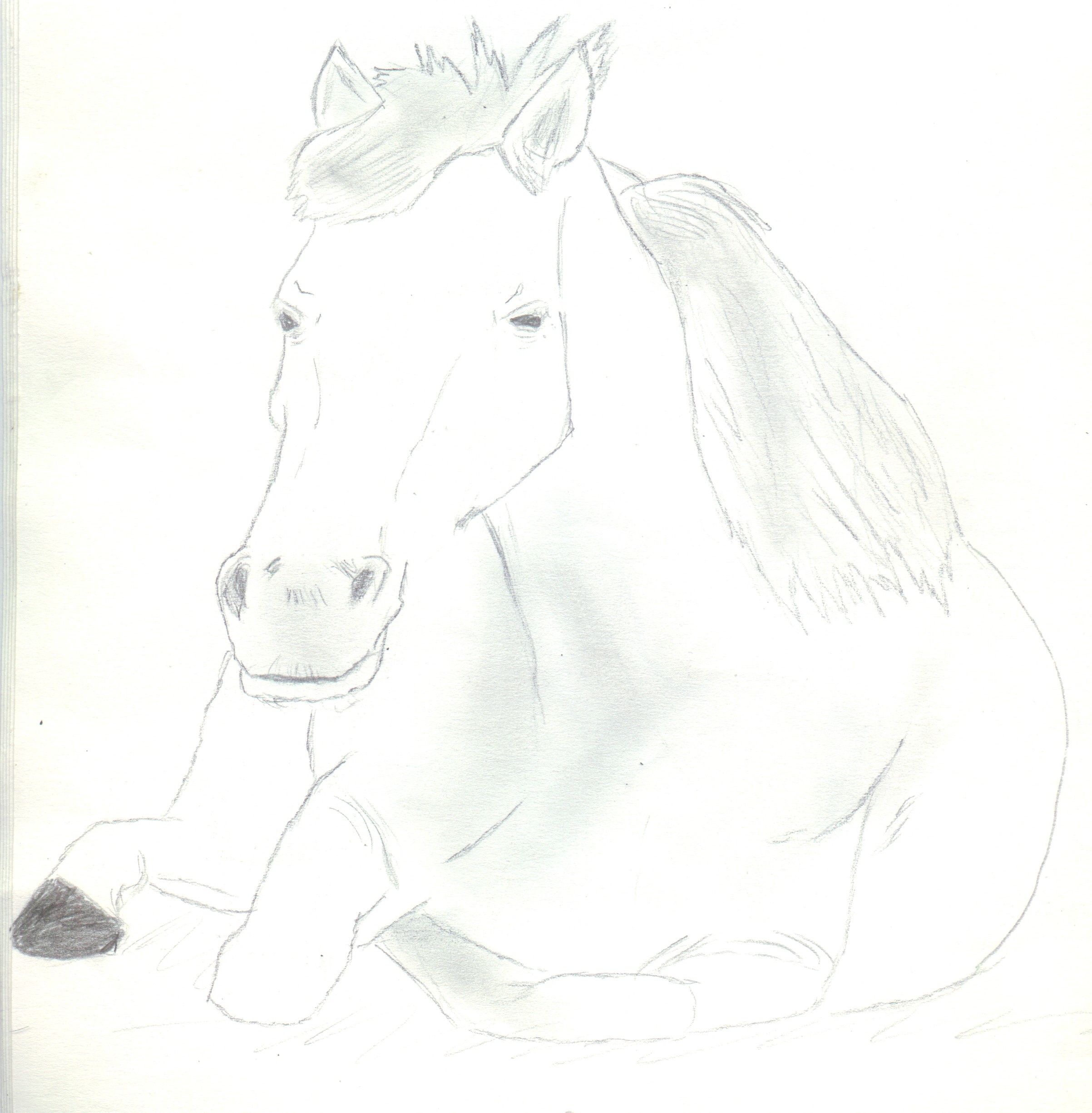 Fonds d'cran Art - Crayon Animaux - Chevaux hmmm dodo !