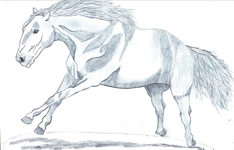 Wallpapers Art - Pencil Animals - Horses Stayer