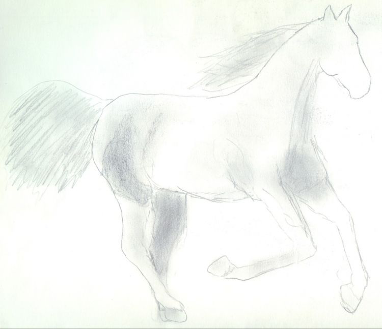 Wallpapers Art - Pencil Animals - Horses Cheval sans