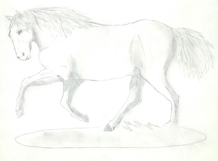 Wallpapers Art - Pencil Animals - Horses Sous les lumires du spectacle