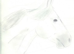 Wallpapers Art - Pencil Missouri Fox Trotter