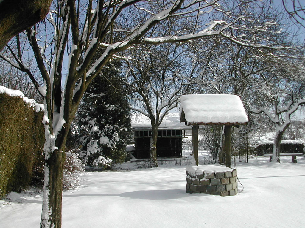 Fonds d'cran Nature Saisons - Hiver jardin enneig