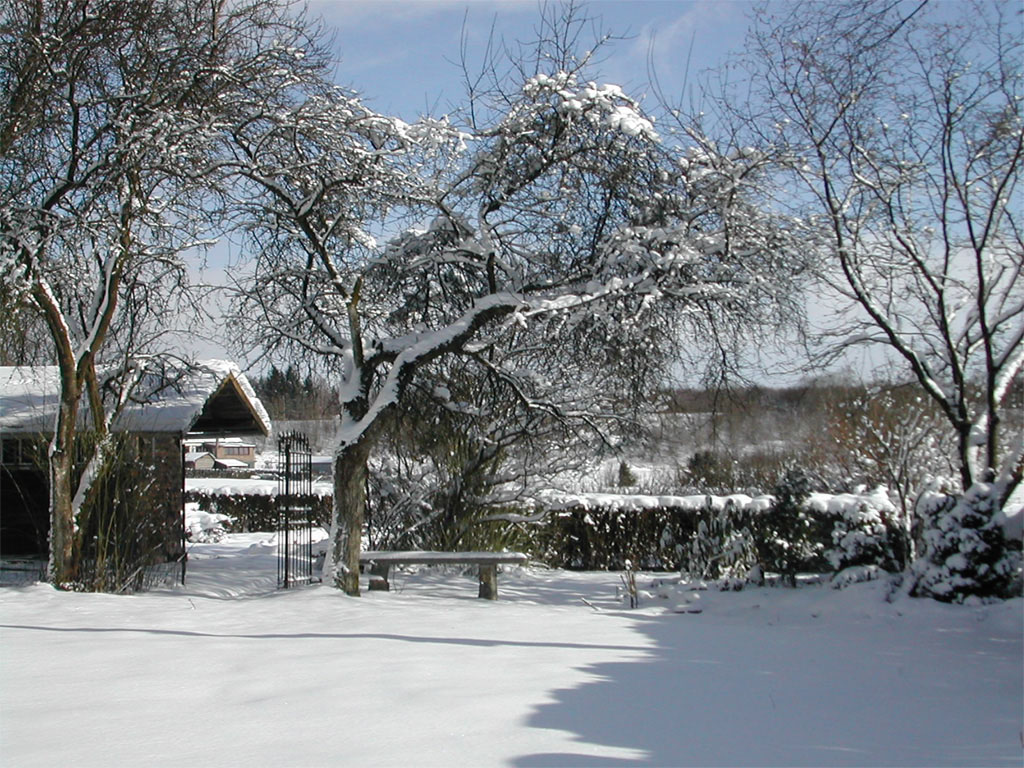 Fonds d'cran Nature Saisons - Hiver Jardin enneig