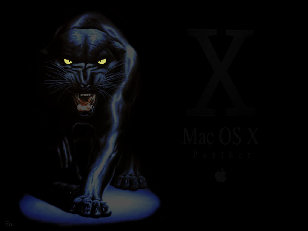 Wallpapers Computers Mac Mac OS X Panther