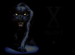 Fonds d'cran Informatique Mac OS X Panther