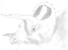 Wallpapers Art - Pencil Triceratops foireux