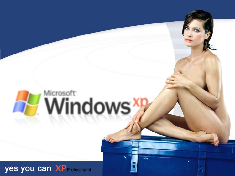 Wallpapers Computers Windows XP Yes you can