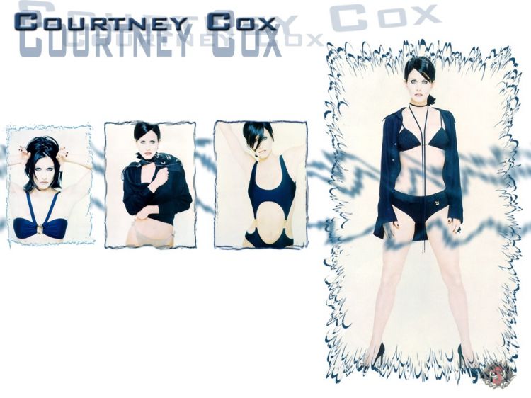 Wallpapers Celebrities Women Courteney Cox Courtney cox