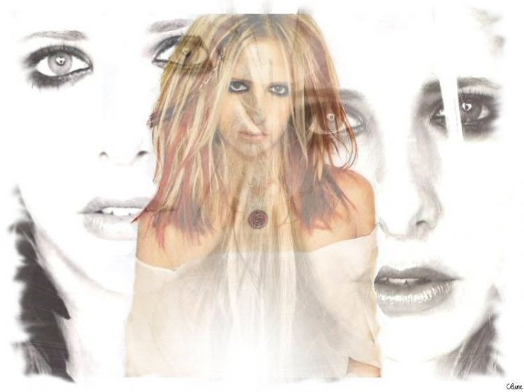 Wallpapers Celebrities Women Sarah Michelle Gellar Sarah Michelle Gellar