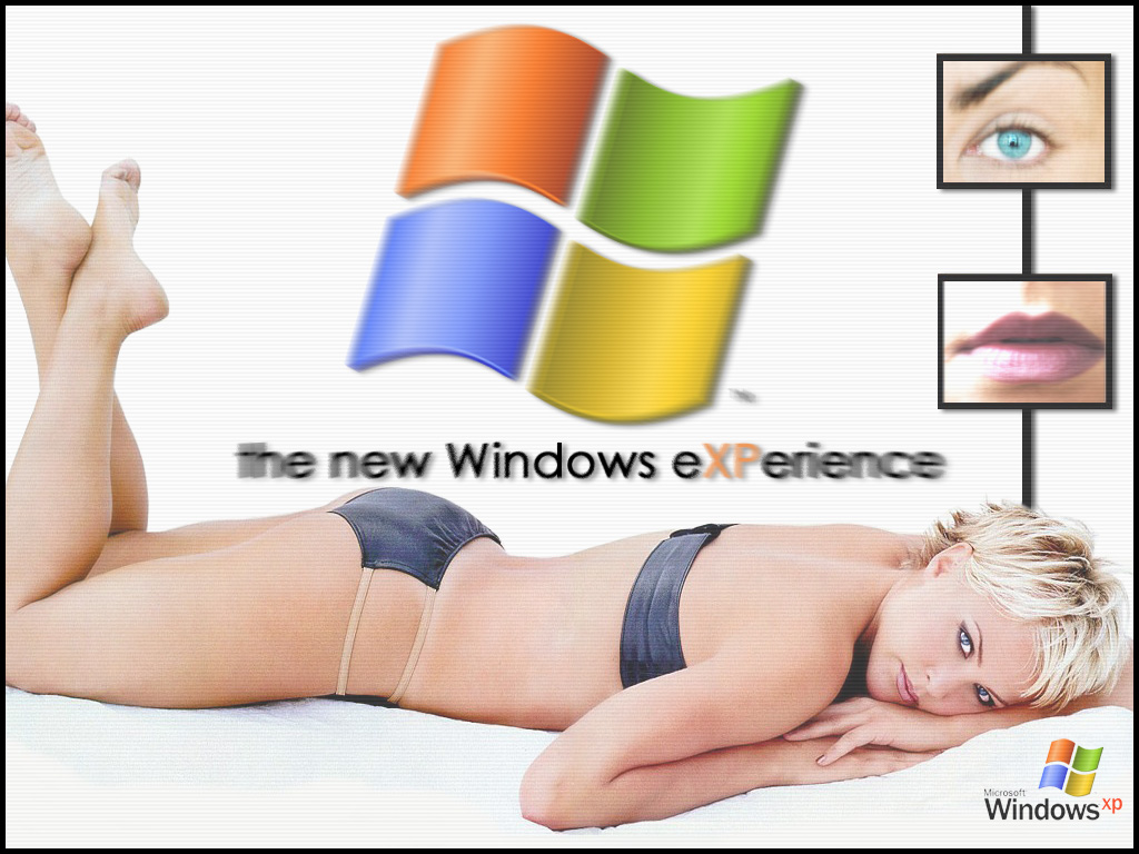 Fonds d'cran Informatique Windows XP The new Windows eXPerience