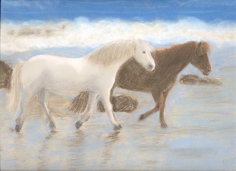 Wallpapers Art - Pencil Animals - Horses libres sur la plage