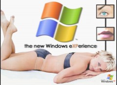 Fonds d'cran Informatique The new Windows eXPerience