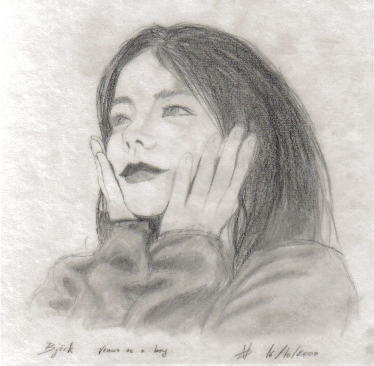 Fonds d'cran Art - Crayon Portraits Bjork 1