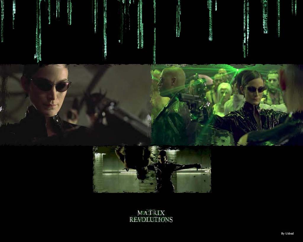 Wallpapers Movies Matrix 3 Revolutions .::Trinity::.