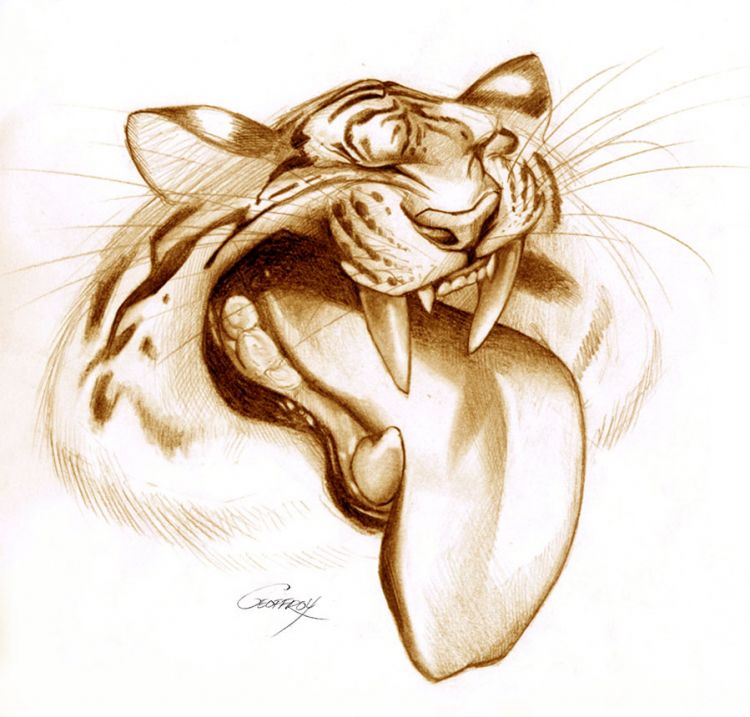 Fonds d'cran Art - Crayon BDs - Animaux tigre