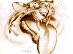 Wallpapers Art - Pencil tigre