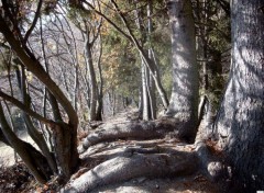 Wallpapers Nature Fort des Alpes