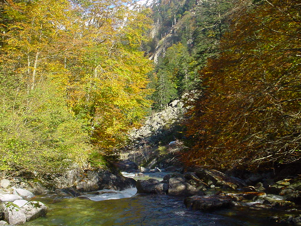 Fonds d'cran Nature Fleuves - Rivires - Torrents Au pont d'espagne