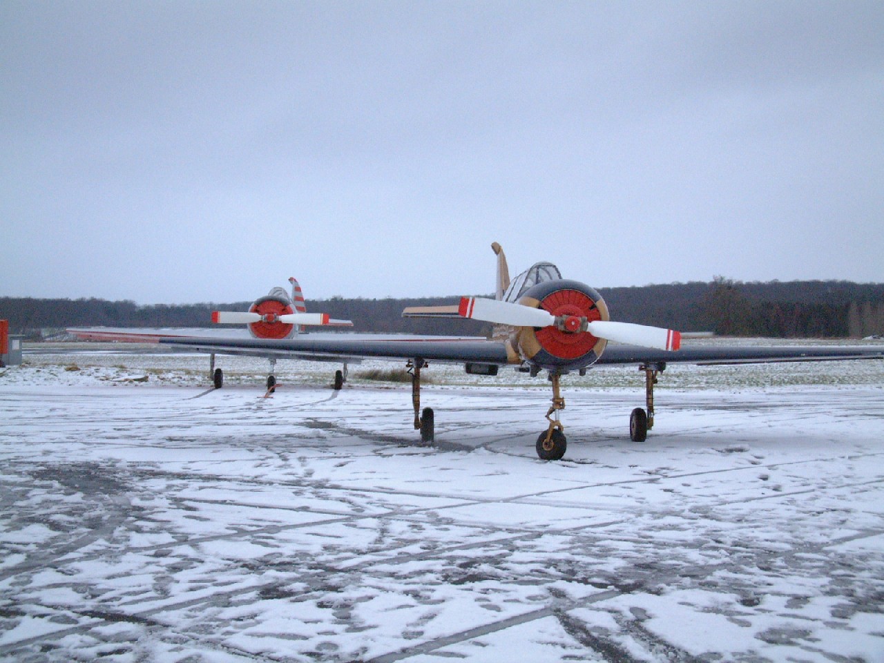 Fonds d'cran Avions Avions militaires Yak 52 --2