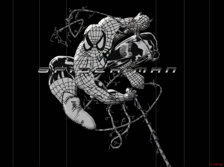 Fonds d'cran Cinma Spider-Man spider-man