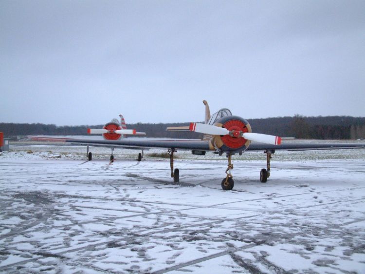 Fonds d'cran Avions Avions militaires Yak 52 --2