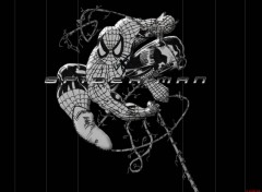 Fonds d'cran Cinma spider-man