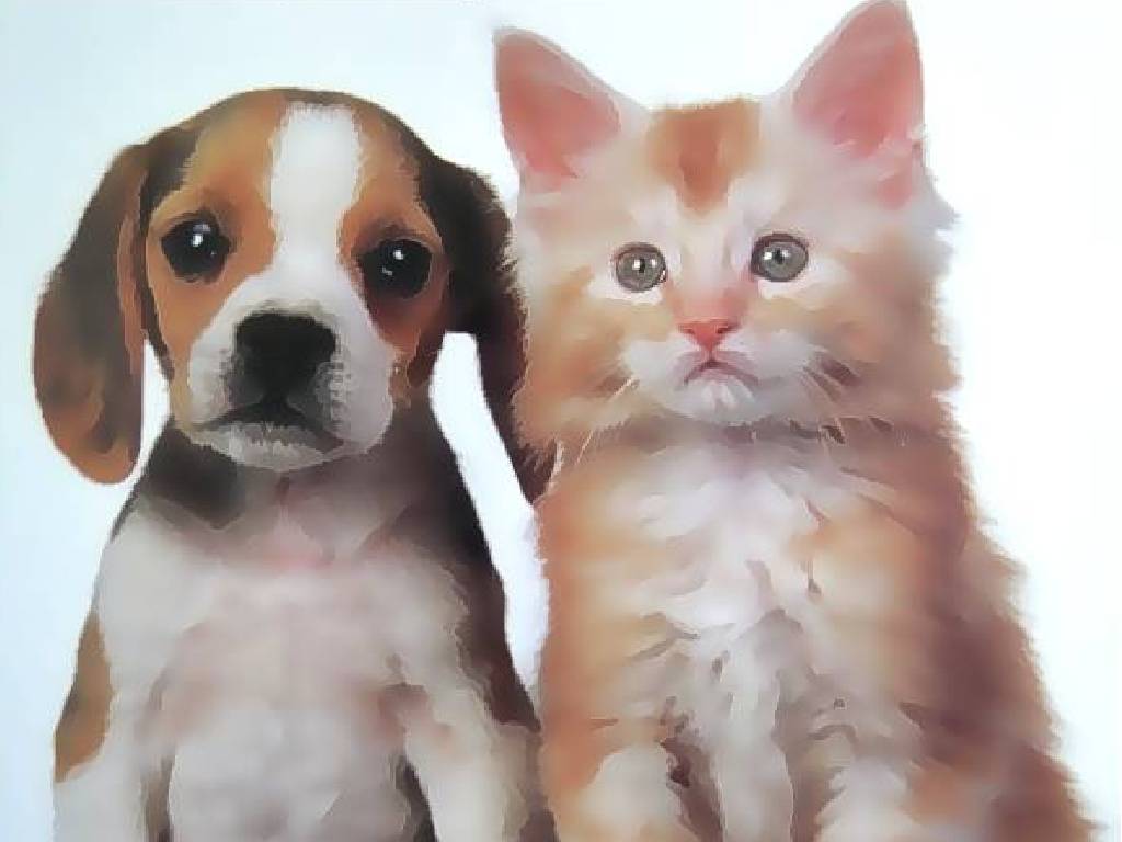 Fonds d'cran Animaux Chats - Chatons chat et chien