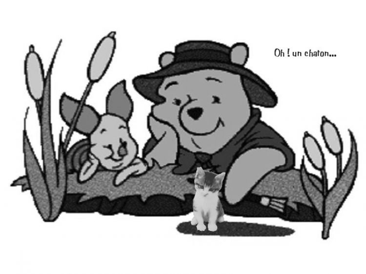 Wallpapers Cartoons Winnie the Pooh winnie-et-Toupi